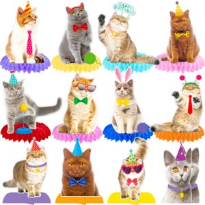 british shorthair cat honeycomb centerpieces 12pcs cat birthday party decorations cute cat party table decorations for cat themed kitten birthday party supplies