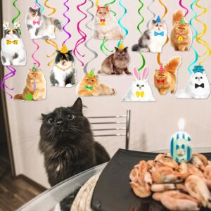 20Pcs Persian Cat Hanging Swirls Cat Themed Birthday Party Decorations Kitten Birthday Foil Ceiling Swirls Persian Cat Party Streamers for Pet Cat Baby Shower Supplies