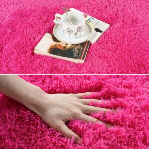 Fluffy Rug for Living Room,Furry Carpet for Teen,Shaggy Rug for Nursery Room, Hot Pink Fuzzy Plush Rug for Dorm, Rectangle Shag Rug 2x3 Feet