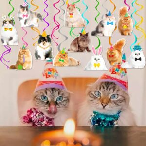 20Pcs Persian Cat Hanging Swirls Cat Themed Birthday Party Decorations Kitten Birthday Foil Ceiling Swirls Persian Cat Party Streamers for Pet Cat Baby Shower Supplies