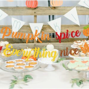 Pumpkin Spice and Everything Nice Banner Decor, Inspirational Autumn Sign, Autumn Fall Bulletin Board Decorations for Thanksgiving, Fall Party Decorations for Home Mantle Fireplace,Fall Harvest Banner