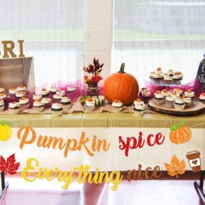 Pumpkin Spice and Everything Nice Banner Decor, Inspirational Autumn Sign, Autumn Fall Bulletin Board Decorations for Thanksgiving, Fall Party Decorations for Home Mantle Fireplace,Fall Harvest Banner