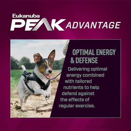 EUKANUBA Premium Performance 26/16 Exercise Small Bites Dry Dog Food 28 lb Bag