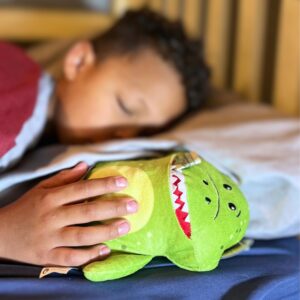 The Tooth Brigade Tooth Fairy Pillow | Fun and Interactive Stuffed Plush Toy with Large Pocket for Lost Teeth, Treasures, Prizes - Perfect for Kids, Boys, & Girls Gift (Rebel Dinosaur)