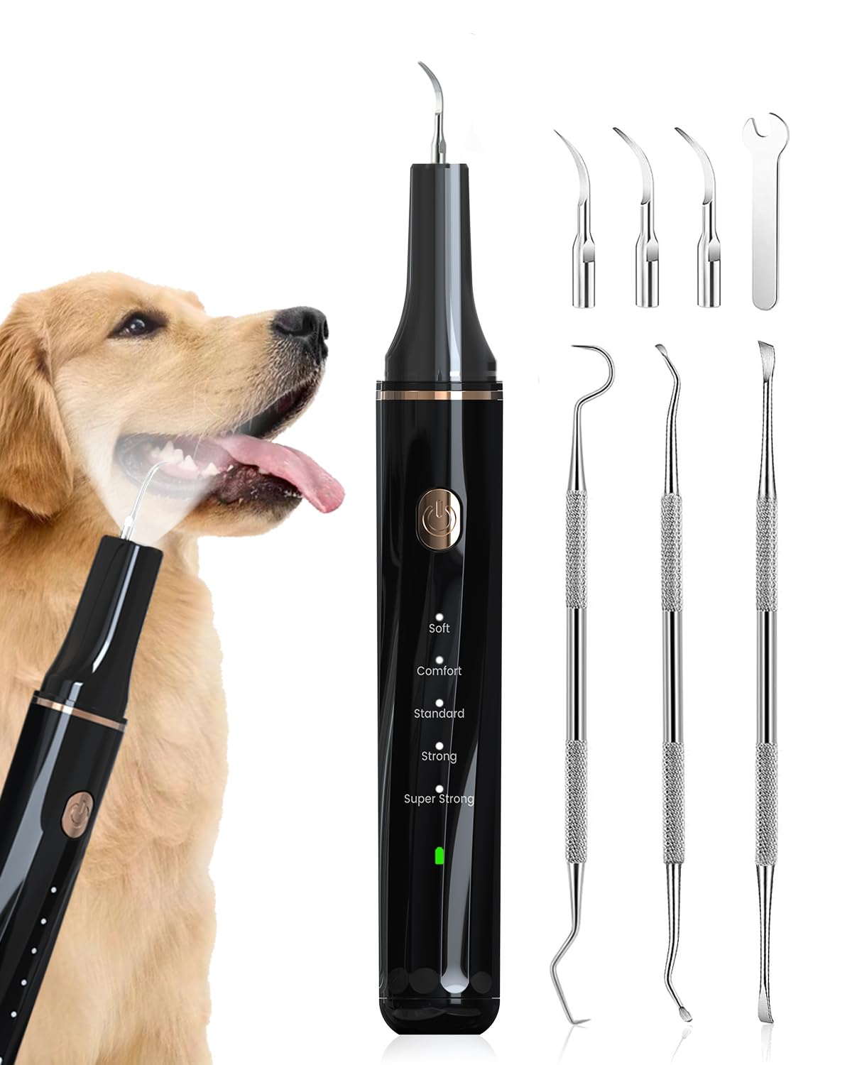 Hansaplast Plaque Remover for Teeth, Dog Teeth Cleaning, Dental Tools to Remove Tartar and Stains, Safe for Dogs & Cats, with Led Light & 5 Adjustable Modes (Black)