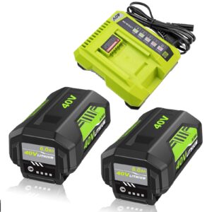 2 pack 6000mah 40 volt lithium ion op40602 battery replacement for ryobi 40v battery and charger kit compatible with ryobi 40 volt battery op4026 op40601 op4050 and op401 40v battery charger (green)