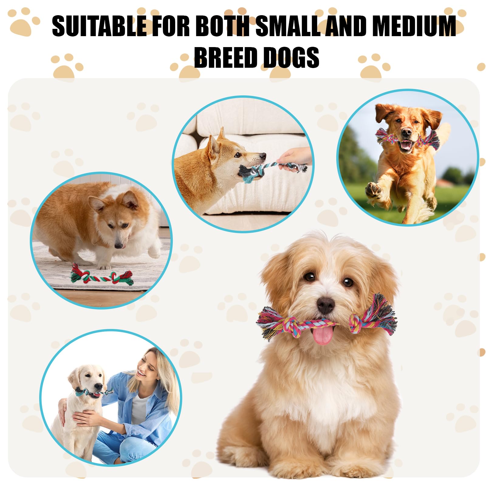 eggigi 60 Pcs Multi Color Knot Rope Dog Chew Toys Puppy Rope Toy Dog Tug of War Toy Chew Toys for Small and Medium Dogs Puppies