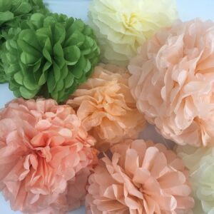 Bridal Shower Decorations Sage Green - Peach Olive Green Boho Bachelorette Party Decorations with Balloons Tissue Paper Flower Pompoms and Tassel Garland (Sage green + Peach)