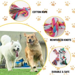 eggigi 60 Pcs Multi Color Knot Rope Dog Chew Toys Puppy Rope Toy Dog Tug of War Toy Chew Toys for Small and Medium Dogs Puppies