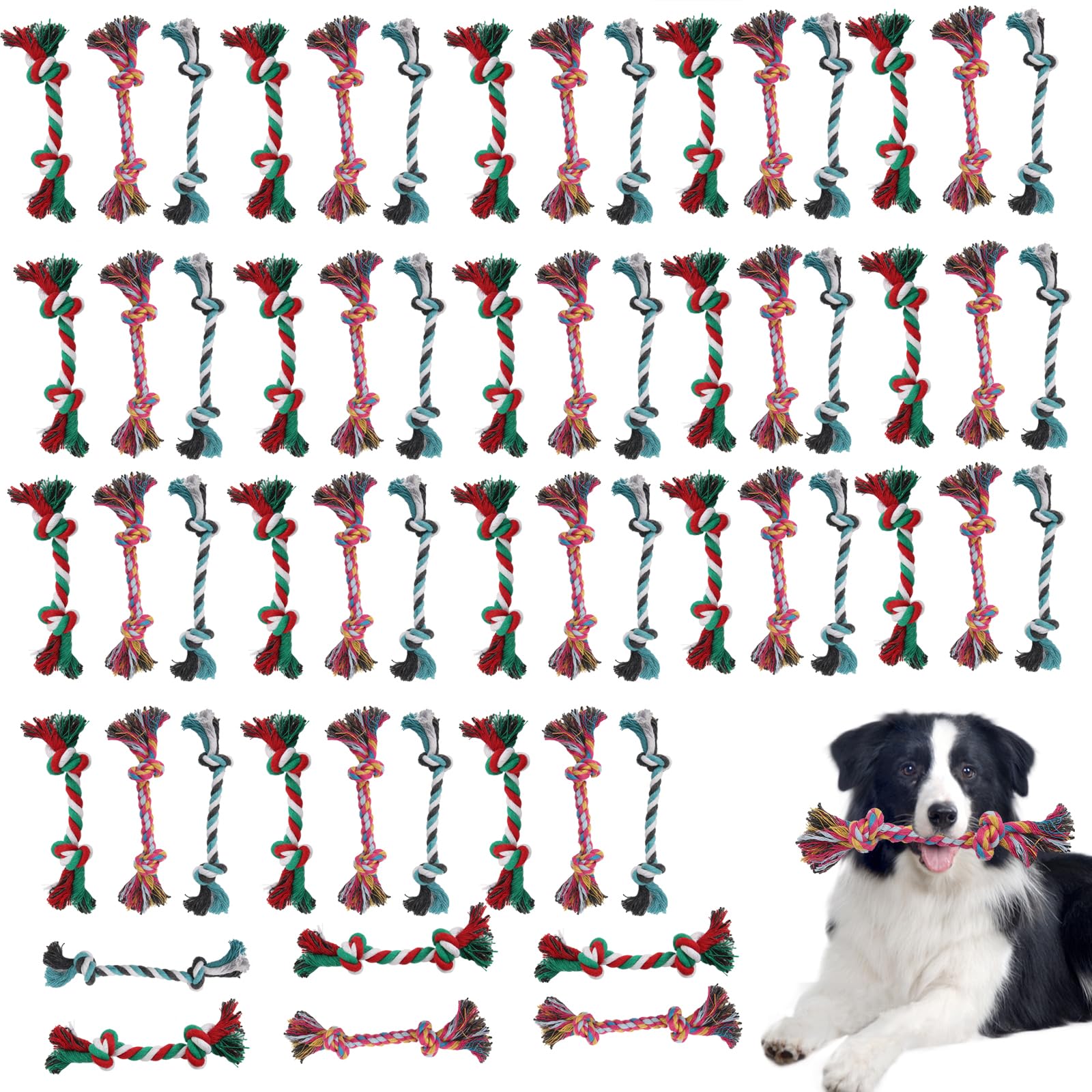 eggigi 60 Pcs Multi Color Knot Rope Dog Chew Toys Puppy Rope Toy Dog Tug of War Toy Chew Toys for Small and Medium Dogs Puppies