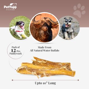 PetYupp Water Buffalo Paddywack Dog Chews – 12 Pack – All-Natural, High-Protein, Low-Fat & Easy-to-Digest Dog Treats – for Small to Large Dogs and Teething Puppies - Rawhide-Free & No Additives