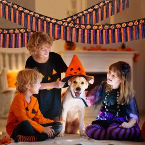 Mega-L Halloween Party Decorations, 2 Packs 39 Feet Foil Fringe Banner Tinsel Streamers, Orange Purple Black Pumpkin Metallic Hanging Backdrop Garland Table Skirts for Indoor House Car Parade Floats