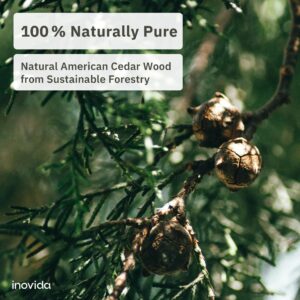 16 American Cedar Wood Blocks – Stop Clothes Damage - Wardrobe Freshener – Premium American Cedarwood Planks for Fresh Scent in Drawers and Closets - Inovida