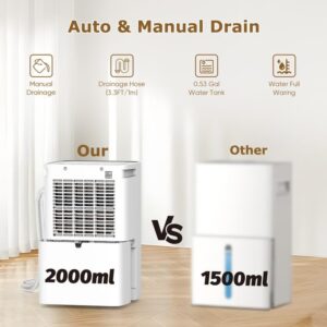 COLAZE 2500 Sq. Ft 25 Pint Dehumidifier for home, Dehumidifiers for Basement with Drain Hose, Compressor Dehumidifiers for Large Room with Auto Manual Drain, 24H Timer, 0.53 Gal Bucket, Auto Defrost