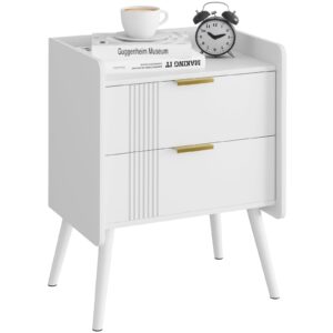 Aenuert White Nightstand Modern Bedside Table with 2 Storage Drawer, Small Night Stand, Wooden End Table,Sofa Side Table for Bedroom,Study Room and Small Spaces