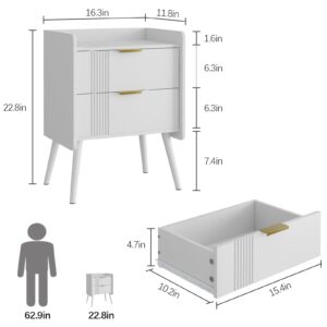 Aenuert White Nightstand Modern Bedside Table with 2 Storage Drawer, Small Night Stand, Wooden End Table,Sofa Side Table for Bedroom,Study Room and Small Spaces