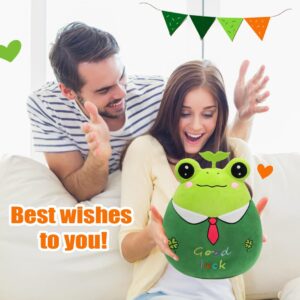 Jrystar 14’’ Good Luck Frog Plush Pillow Soft Frog Plush Hugging Pillow Toy Cute Frog Stuffed Animal Doll Plushie Christmas Birthday Festival Gifts for Kids