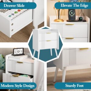 Aenuert White Nightstand Modern Bedside Table with 2 Storage Drawer, Small Night Stand, Wooden End Table,Sofa Side Table for Bedroom,Study Room and Small Spaces