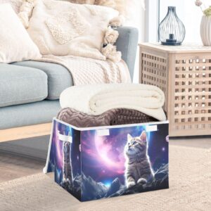 WELLDAY Galaxy Cat Storage Baskets Foldable Cube Storage Bin with Lids and Handle, 16.5x12.6x11.8 Inch Storage Boxes for Toys, Shelves, Closet, Bedroom