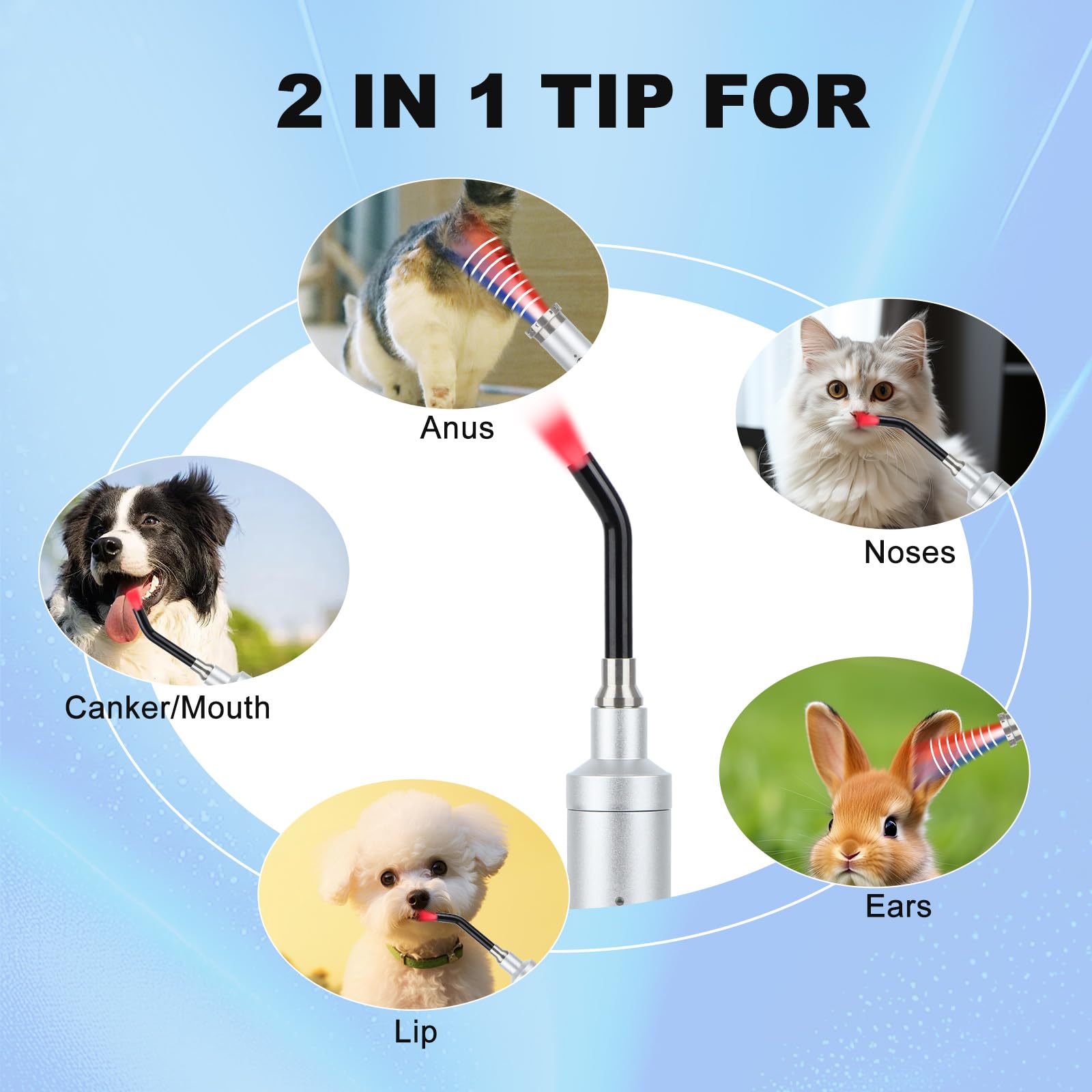 Azilaser Vet Near Red Light Therapy Device for Dogs Pain Relief, 4400mAh Cat Cold Sore Blue Light Treatment Machine Pet Lip Nasal Ear Mouth Oral Canker Sore Leg Knee Back Joint Muscle Relax at Home