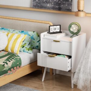 Aenuert White Nightstand Modern Bedside Table with 2 Storage Drawer, Small Night Stand, Wooden End Table,Sofa Side Table for Bedroom,Study Room and Small Spaces