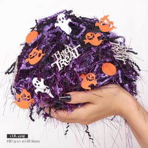 PAPER FAIR 1LB Halloween Crinkle Cut Paper Shred, Black Purple Iridescent Glitter Strand Raffia Filler w/Orange Ghosts Trick or Treat Confetti, Candy Gift Wrapping Basket Box Craft Bedding Cushion