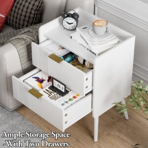 Aenuert White Nightstand Modern Bedside Table with 2 Storage Drawer, Small Night Stand, Wooden End Table,Sofa Side Table for Bedroom,Study Room and Small Spaces