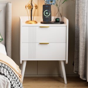 aenuert white nightstand modern bedside table with 2 storage drawer, small night stand, wooden end table,sofa side table for bedroom,study room and small spaces