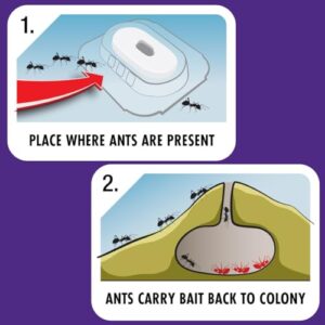 STEM Liquid Ant Baits, Kills The Queen and Colony, for Indoor Use, 12 Spill Proof Bait Stations