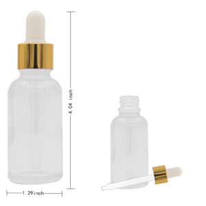 AGZHTYJQ 12 Pcs Glass Dropper Bottles with Eye Dropper Dispensers Lab Dropping Bottles with 2Pcs Long Pipettes 2Funnel and12 Label for Travel Cuticle Massage Essential Oils Perfume (Clear,1oz)