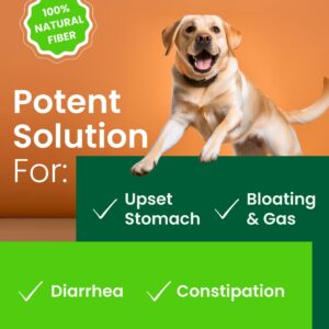 Pumpkin for Dogs - Apple, Pumpkin Seeds and Pumpkin Fruit - Fiber Supplement and Stool Softener - Diarrhea, Constipation, Upset Stomach, Food Sensitivity - Improve Digestion - 7oz Apple Flavor