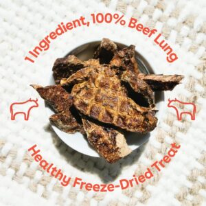 Pupford Steak Strips for Dogs & Puppies - Healthy, Natural, Single Ingredient Freeze Dried Beef Lung Dog Treats - Made in USA (10 oz)