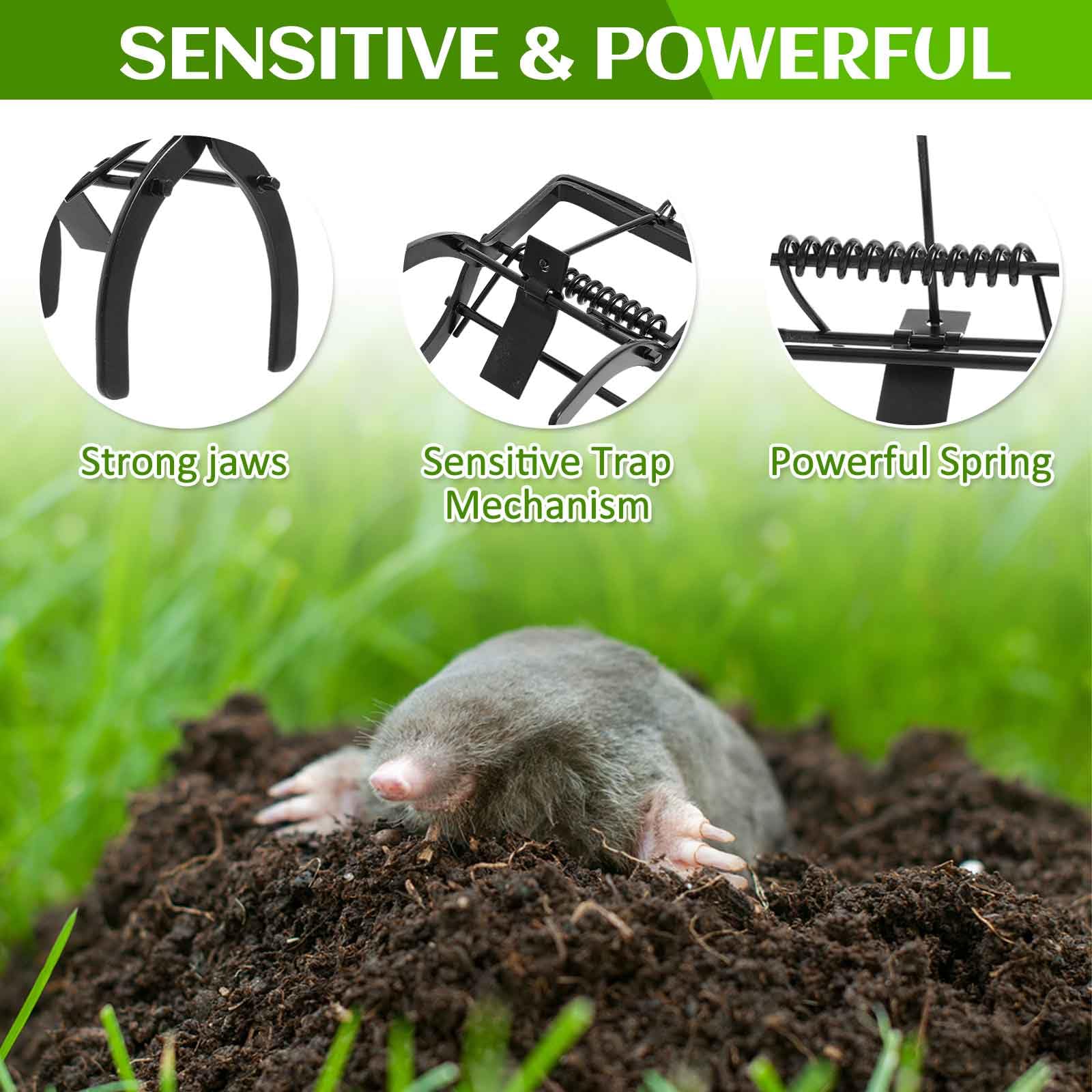 Qualirey 2 Pcs Mole Traps Vole Mole Traps Galvanized Steel Mole Scissor Trap Outdoor Easy to Set Black Eliminator Trap Mole Killer Gopher Trap for Home Farmhouse Lawn Field Outdoor Garden Yard Vole