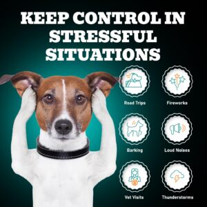 Dog Calming Chews | Calming Care for Dogs | Puppy Calming | Calm Chews for Dogs | Puppy Calming Chews | Calming Chews for Dogs | 240 Chews