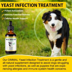 Dog Yeast Infection Treatment, Natural Yeast Infection Treatment for Dogs, Supports Dog Ear Infection Treatment and Allergy Itch Relief, Reduces Inflammation,Improve Coat & Skin, Bacon Flavor, 2 Fl Oz