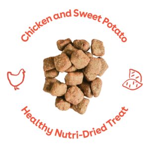 Pupford Crunchies, Premium Treat for Dogs & Puppies (Chicken & Sweet Potato, 5 oz)