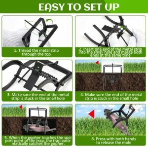 Qualirey 2 Pcs Mole Traps Vole Mole Traps Galvanized Steel Mole Scissor Trap Outdoor Easy to Set Black Eliminator Trap Mole Killer Gopher Trap for Home Farmhouse Lawn Field Outdoor Garden Yard Vole