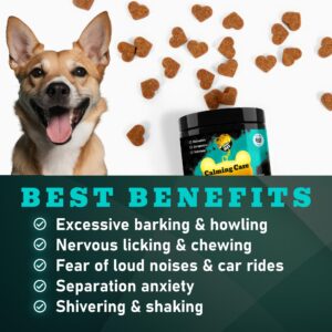 Calming Chews for Dogs | Puppy Calming Chews | Calming Care for Dogs | Calm Chews for Dogs | Puppy Calming | Dog Calming Chews | 200 Chews