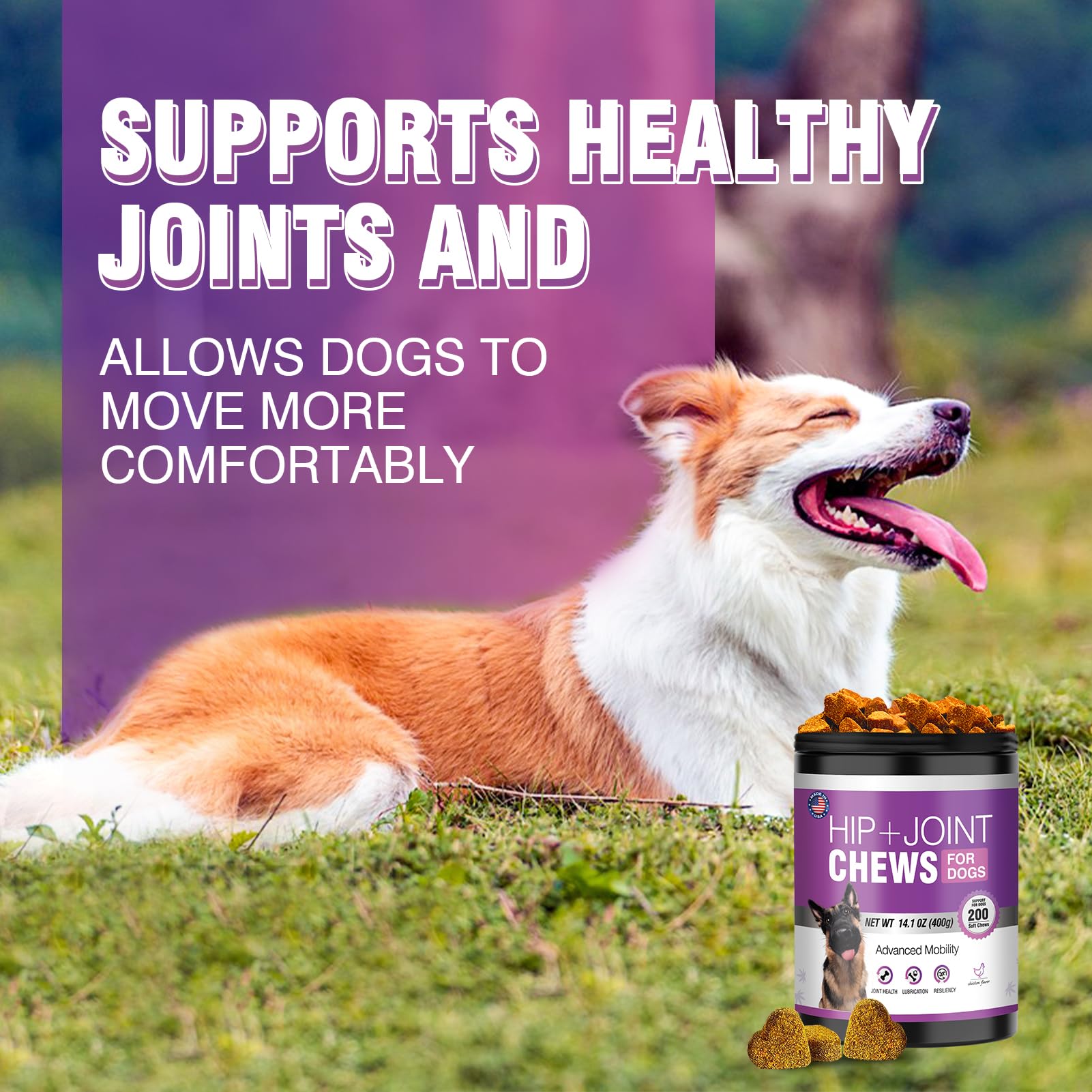 Glucosamine for Dogs 200pcs Joint Support Supplement Dog Hip and Joint Chondroitin Chews Treats with MSM Hemp Dog Joint Pain Relief Mobility Supplements Chicken Flavor Fit All Large Small Medium Breed