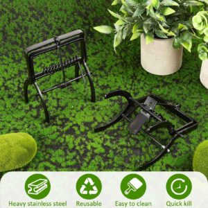 Qualirey 2 Pcs Mole Traps Vole Mole Traps Galvanized Steel Mole Scissor Trap Outdoor Easy to Set Black Eliminator Trap Mole Killer Gopher Trap for Home Farmhouse Lawn Field Outdoor Garden Yard Vole