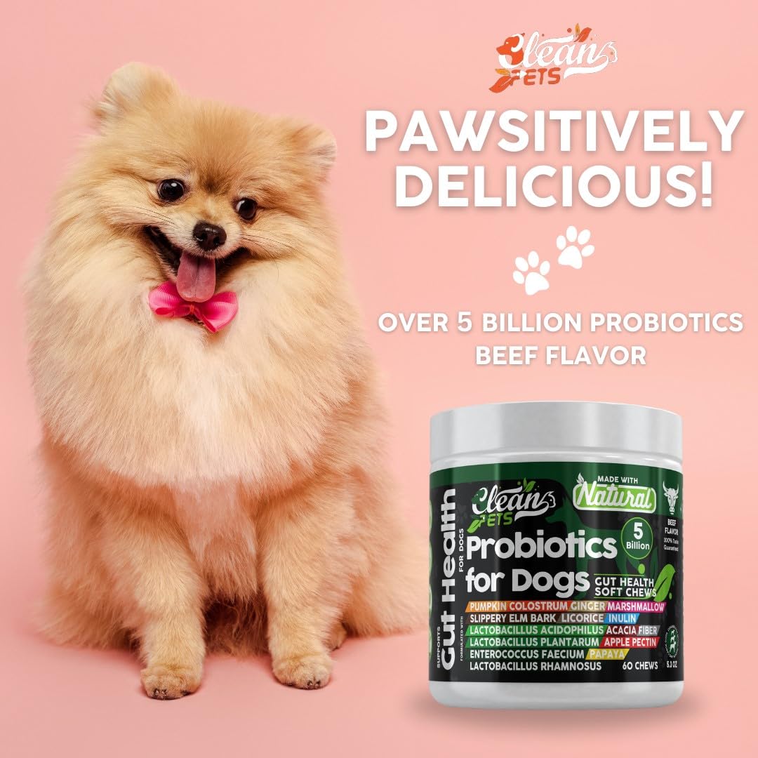 Gut Health Probiotics for Dogs with Pumpkin, Colostrum, Digestive Enzymes, Ginger, Slippery Elm, Licorice, Inulin Fiber & More | Beef Flavor Soft Chews Digestion Dog Supplement by Clean Pets