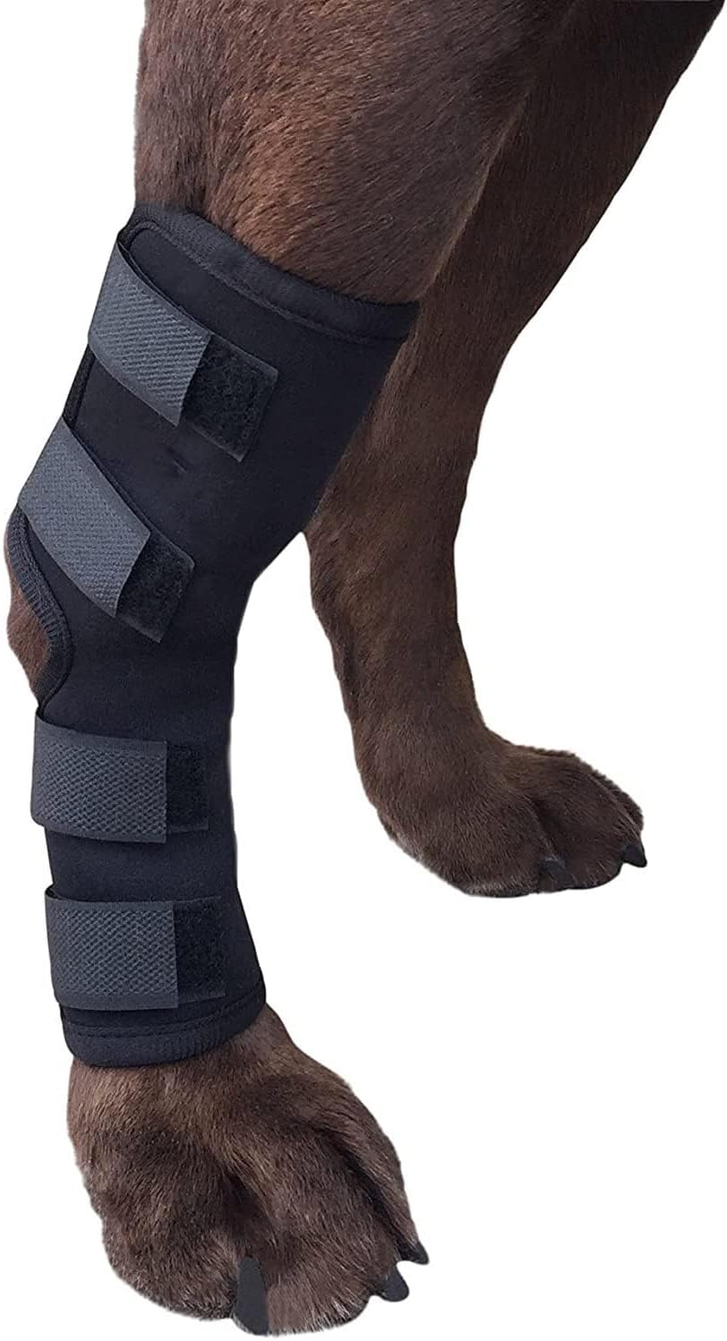 ceepdoogle Dog Extra Supportive Canine Rear Leg Hock Joint Compression Wrap for Recovery Protection Sprain and Injury Prevention Hind Ankle Brace with Knee Support for Dogs Extra Large