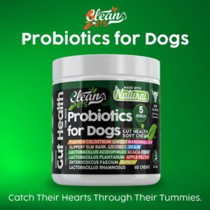 Gut Health Probiotics for Dogs with Pumpkin, Colostrum, Digestive Enzymes, Ginger, Slippery Elm, Licorice, Inulin Fiber & More | Beef Flavor Soft Chews Digestion Dog Supplement by Clean Pets