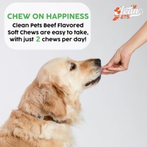 Gut Health Probiotics for Dogs with Pumpkin, Colostrum, Digestive Enzymes, Ginger, Slippery Elm, Licorice, Inulin Fiber & More | Beef Flavor Soft Chews Digestion Dog Supplement by Clean Pets