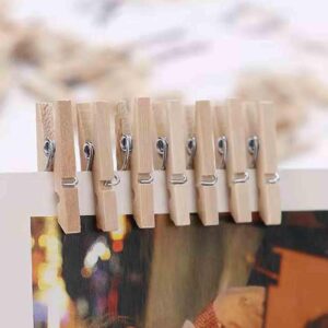 Mini Clothes Pins for Photo, Small Clothespins 100 pcs 1" Natural Wooden Mini Clothes Pins, Mini Photo Clips Small Clothes Pins for Photos, Crafts, Arts, Cocktails