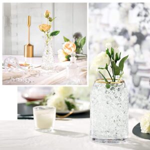 Jacisk 120,000 Clear Water Beads, Transparent Water Gel Beads for Vase Filler, Christmas Decoration, Wedding Centerpiece, Floating Candles, Planting, Floral Decoration