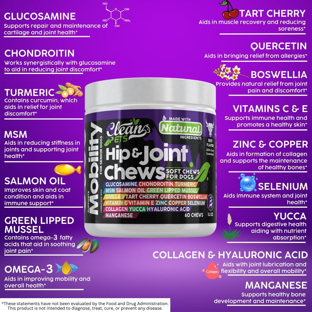 Hip and Joint Supplement Dogs with Glucosamine for Dogs + Chondroitin, Turmeric, Hyaluronic Acid, MSM, Salmon Oil, Collagen, Vitamin C, Omega 3 Senior Dog Supplements Beef Flavor by Clean Pets