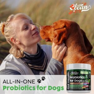 Gut Health Probiotics for Dogs with Pumpkin, Colostrum, Digestive Enzymes, Ginger, Slippery Elm, Licorice, Inulin Fiber & More | Beef Flavor Soft Chews Digestion Dog Supplement by Clean Pets