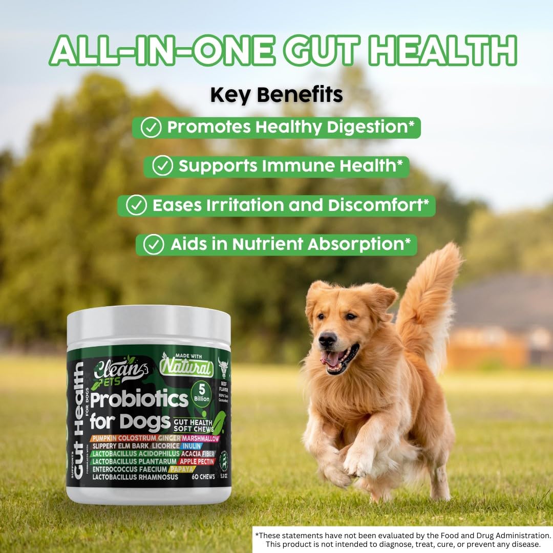 Gut Health Probiotics for Dogs with Pumpkin, Colostrum, Digestive Enzymes, Ginger, Slippery Elm, Licorice, Inulin Fiber & More | Beef Flavor Soft Chews Digestion Dog Supplement by Clean Pets