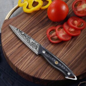 MOSFiATA Damascus Paring Knife 3.5 inch Fruit Knife with Gift BoX